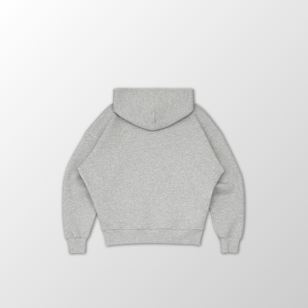 DISK HEAVYWEIGHT HOODIE